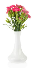 Bouquet of carnations in vase, isolated on white