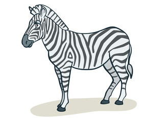 Fototapeta na wymiar Cartoon zebra