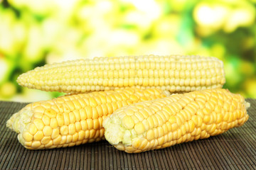 Fresh corn on bamboo mat, on bright background