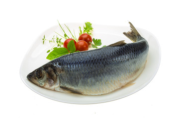 Marinated herring with herbs