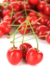 Cherry berries close up