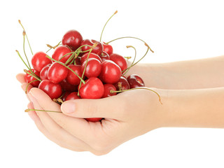 Cherry berries in hands isolated on white