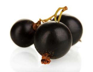 Fresh black currant isolated on white