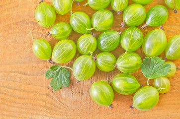 gooseberry
