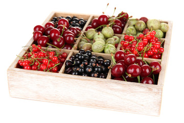 Different summer berries in wooden crate isolated on white
