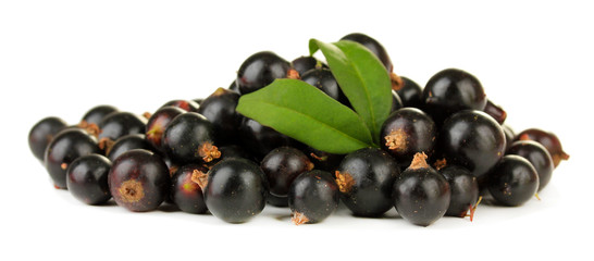 Black currant isolated on white