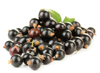 Black currant isolated on white