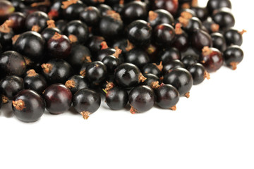 Black currant isolated on white