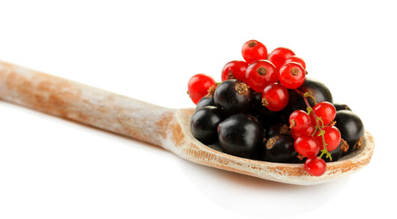 Red and black currant in wooden spoon isolated on white