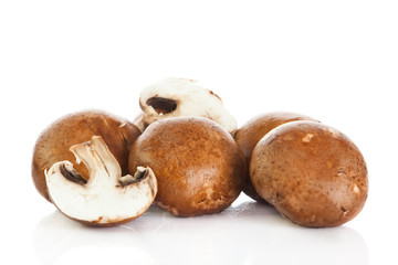 mushroom  isolated on white background.