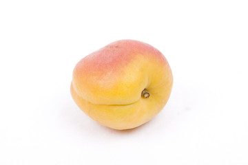 Apricots  on white background