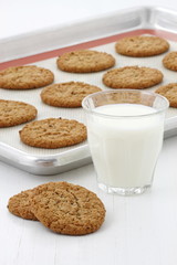 Fresh baked oatmeal cookies