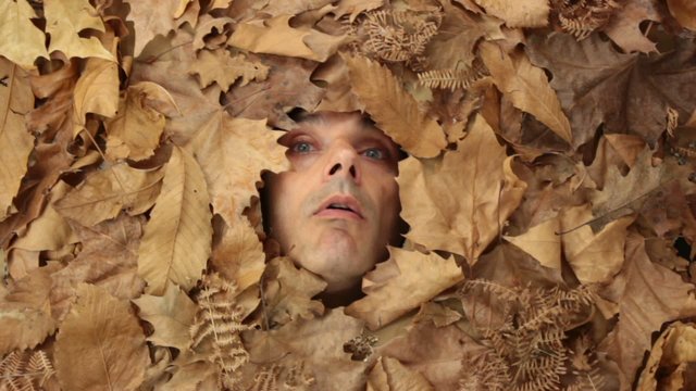 sneezing man under falling leaves, autumnal concept