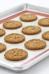 Fresh baked oatmeal cookies