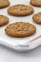 Fresh baked oatmeal cookies