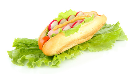 Tasty hot dog with vegetables isolated on white