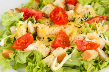 Caesar salad on white plate, close up