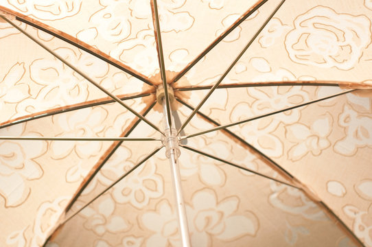 日傘
