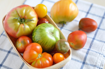 Alte Tomaten Sorten