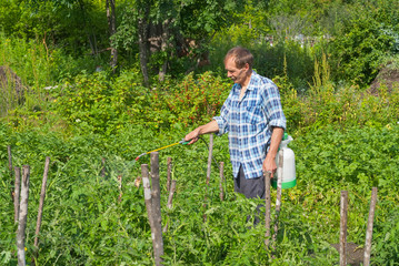 Gardener with sprinkler 6