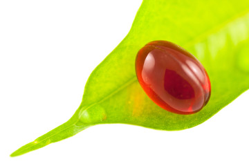 capsule de complément alimentaire sur feuille
