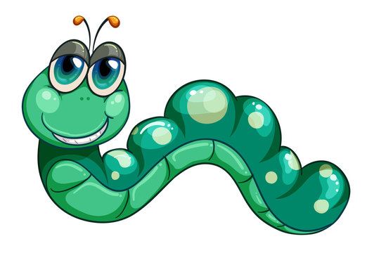 A green worm