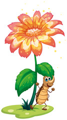 A cockroach under the flower