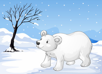 A snowbear walking