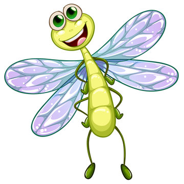 A smiling dragonfly