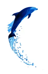 Abwaschbare Fototapete Delfine Delphin-Hochsprung