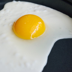 Fried egg in a pan
