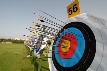 Archery Target Boards with arrows