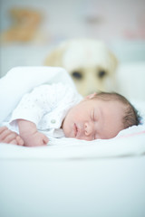 Dog Guarding Sleeping Baby