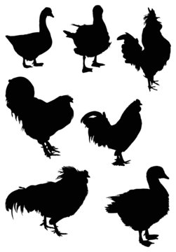 seven farm bird silhouettes