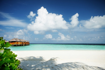 Fototapeta premium tropical beach