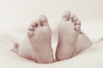 baby feet - obrazy, fototapety, plakaty