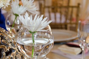 Glass with flower in water