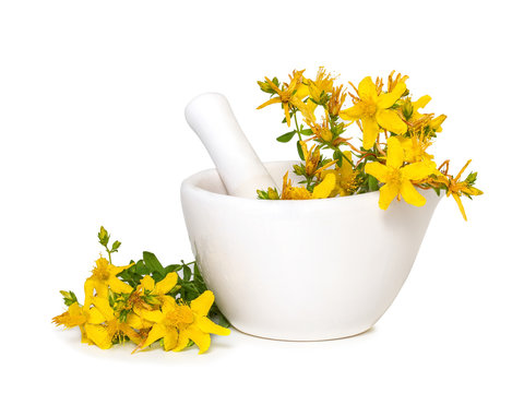 St. John's wort flowers in medical mortar on a white background