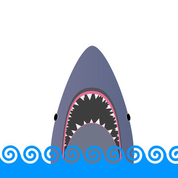 shark in the sea vector illustration