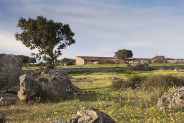 Fototapeta premium Farm house in Colmenar Viejo, Madrid, Spain