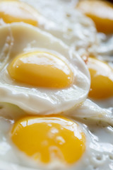 fried eggs