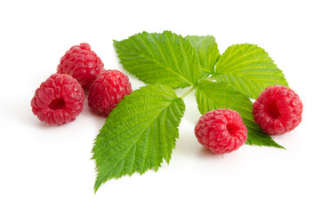 Frische Himbeeren