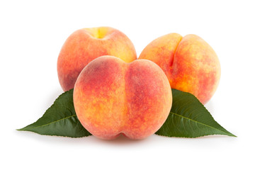 peaches group leaves