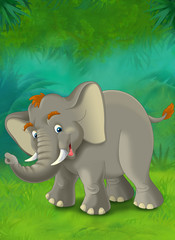 Cartoon jungle - safari - illustration for the children