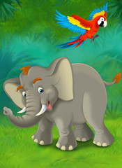 Cartoon jungle - safari - illustration for the children