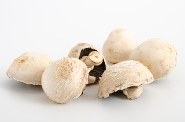 Weiße Champignons