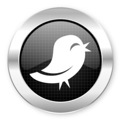 twitter icon