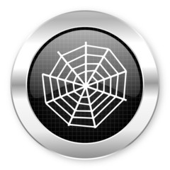 spider web icon