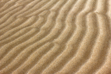 Fototapeta na wymiar Sand wave ripples along the shore