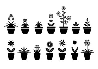 Flower icons on white background